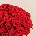 eed46b7e-ea79-4802-b8fd-696391ef292a.webp