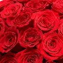 7a0863b7-8859-4dd9-841f-b31366f4004b.webp