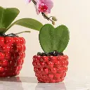 67e21870-92f4-44d3-8737-6e924921f519.webp