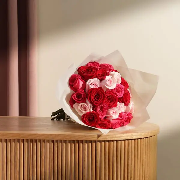 d6554806-3bfe-437d-8b70-e7d570728792.webp