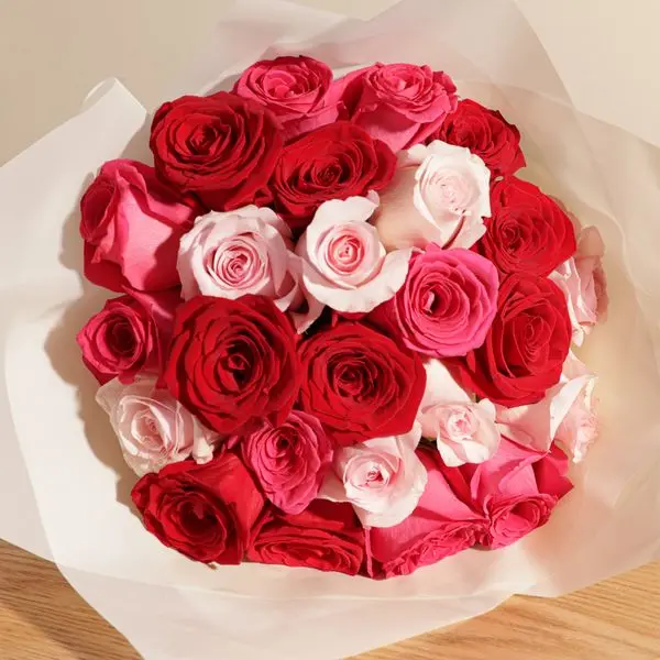 cad284ee-fe13-4f9b-9768-adcfbc627479.webp