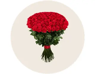 3299ed0a-4d65-4ad0-8cf6-be5a825bfa07.webp