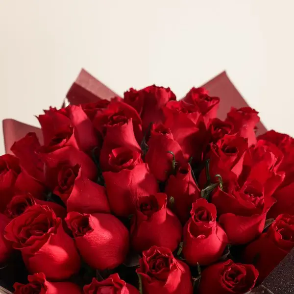 c6538910-c83a-4d12-b345-b89a6053c439.webp