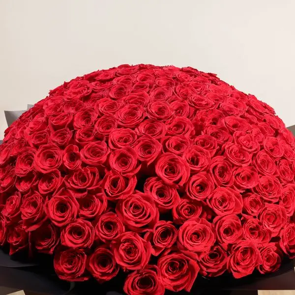 ab69f176-9f4d-42f8-90eb-b3f45170d50e.webp