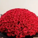 ab69f176-9f4d-42f8-90eb-b3f45170d50e.webp