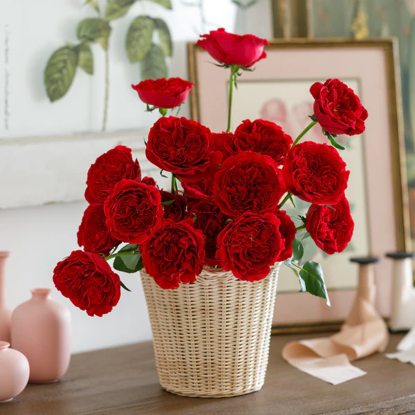 Tess Bouquet – Grace Rose Farm