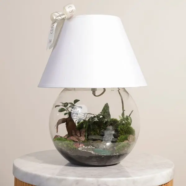 Enchanting Garden Lamp | Closed Terrarium