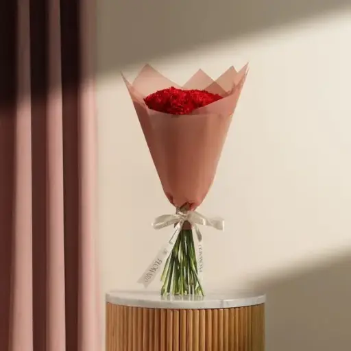 Red Carnation Blooming Bouquet | 20 Flowers