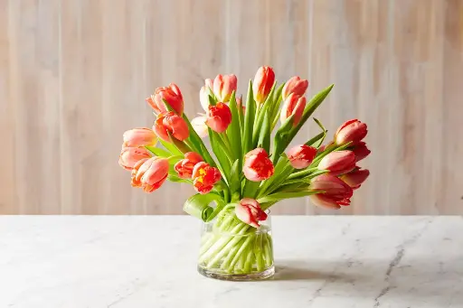 Flower Arrangement Last