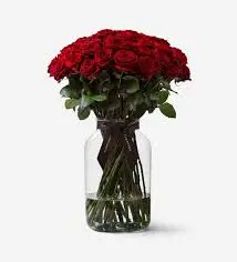50 Roses in a Vase