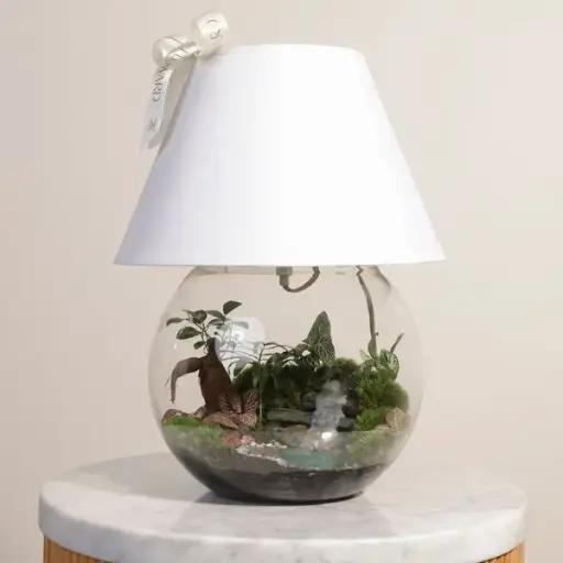 Enchanting Garden Lamp | Closed Terrarium