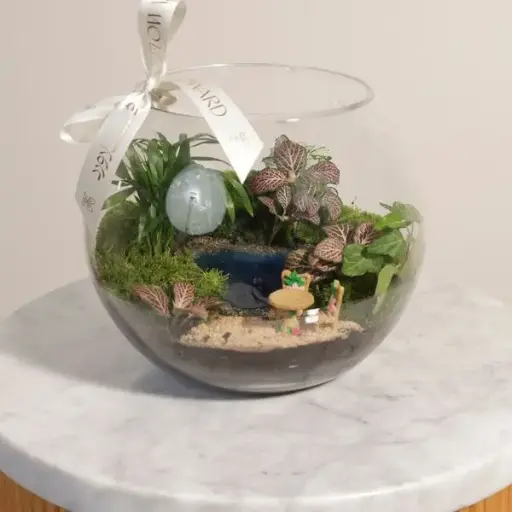 Heart Lake in A Nano Garden Terrarium